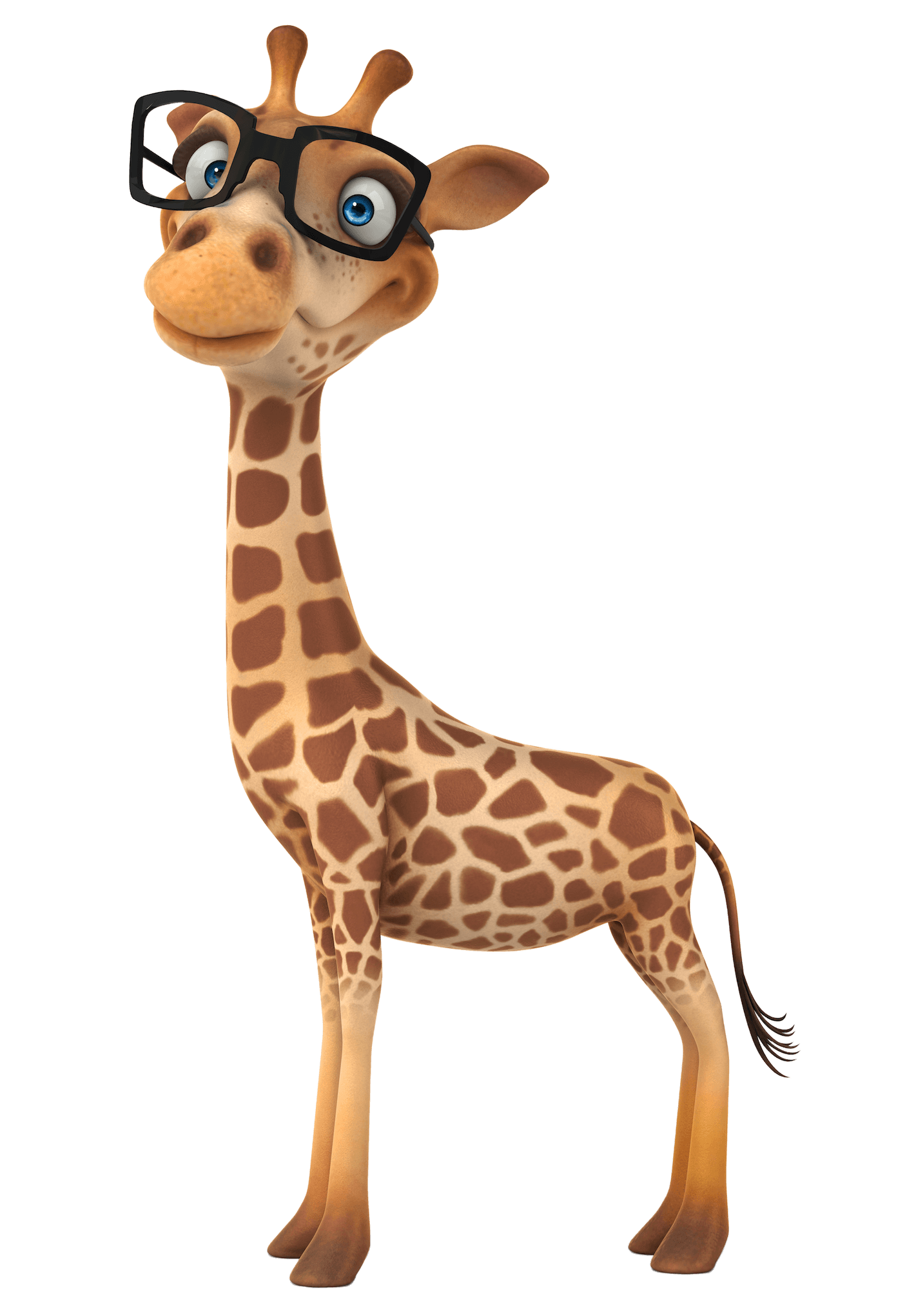 The Giraffe